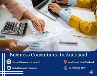 Business Consultants In Auckland