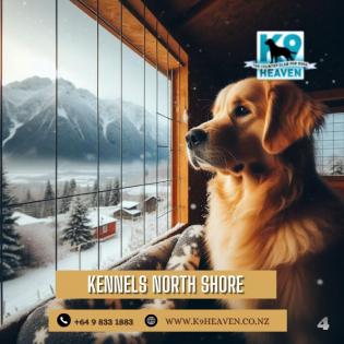 Kennels North Shore